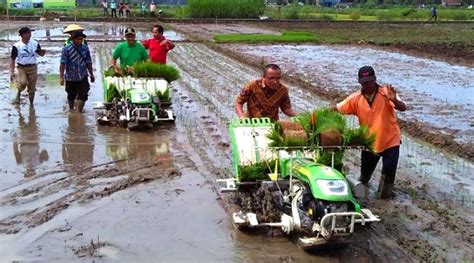 Transformasi Pertanian Di Desa Menuju Smart Farming