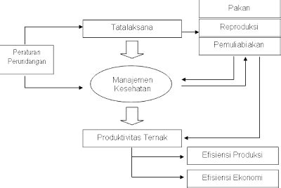 Pengembangan Teknologi Aplikasi Manajemen Kesehatan Ternak di Desa untuk Meningkatkan Produktivitas Ternak dan Kesehatan Hewan Ternak