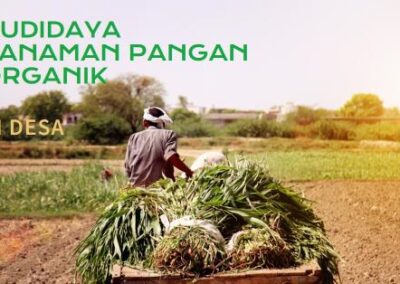 Memulai Usaha Agrowisata dengan Budidaya Tanaman Pangan Organik di Desa