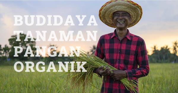 Mengoptimalkan Sumber Daya Lokal dalam Budidaya Tanaman Pangan Organik di Desa