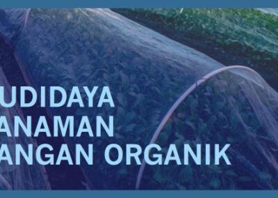 Meningkatkan Kualitas Tanah untuk Budidaya Tanaman Pangan Organik di Desa