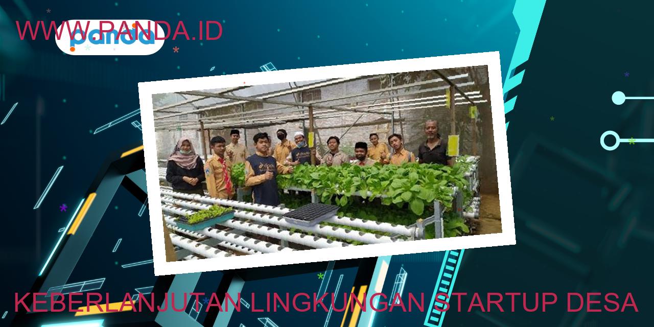 Keberlanjutan lingkungan startup desa